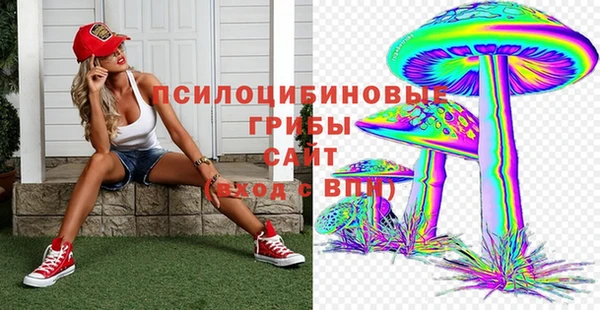 тгк Алзамай