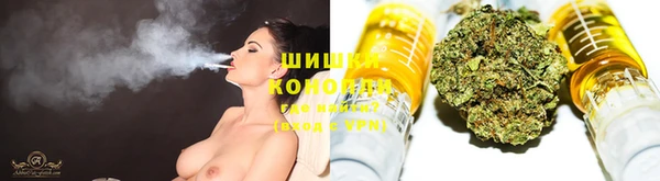 ГАЛЛЮЦИНОГЕННЫЕ ГРИБЫ Алексеевка