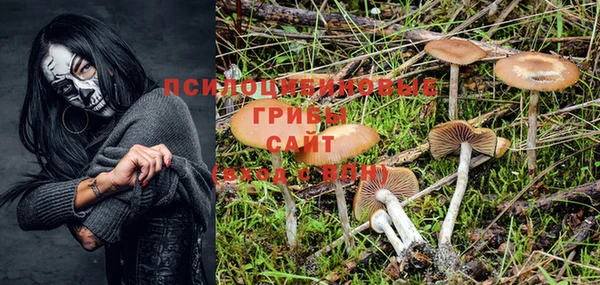 тгк Алзамай