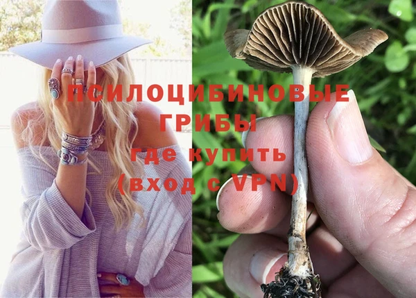 ГАЛЛЮЦИНОГЕННЫЕ ГРИБЫ Алексеевка
