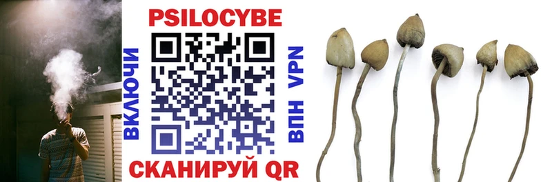 Галлюциногенные грибы GOLDEN TEACHER Заволжск